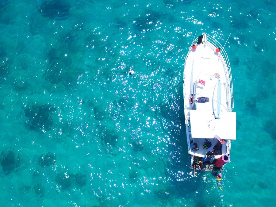 The Innovation Snorkeling Tour Everywhere Digest